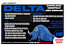 do complete monthly SEO service for top google ranking